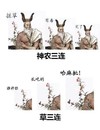 卡通 胡须 花朵 神农山连