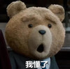 我懂了 小熊 搞笑 玩具