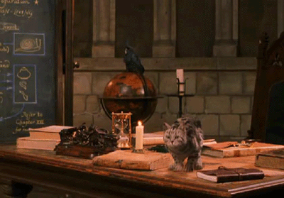 哈利波特 Harry Potter 猫 麦格教授 玛姬·史密斯 变化 变形