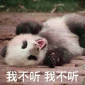 熊猫 大熊猫 我不听 拒绝