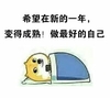 狗狗 计划 睡觉前 做最好的自己