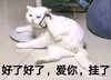 萌宠 猫星人 好了好了 爱你 挂了 呆萌 可爱