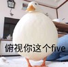 萌宠 鸭子 俯视你这个five 嫌弃 呆萌 可爱