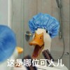 萌宠 鸭子 这是哪位可人啊 害羞 搞怪 呆萌