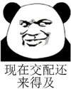 现在交配 还来得及 金馆长 熊猫 坏笑