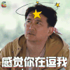 向往的生活2 向往的生活第二季 黄磊 感觉你在逗我 蒙圈 soogif soogif出品