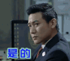 是的  陆毅