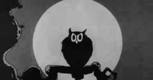 猫头鹰 凄凉 冷漠 静静的看 黑白 月亮 owl