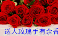 玫瑰花 花朵 送人玫瑰手留余香 红色