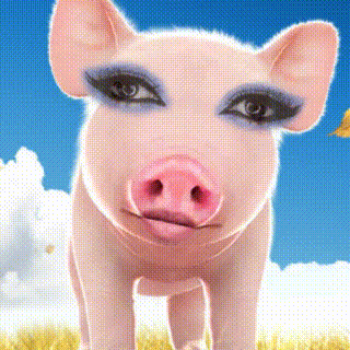 猪猪 吹泡泡 搞笑 斗图
