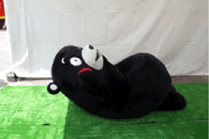 熊本熊 可愛 健身 搞笑