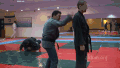武术 martial arts 教学 武道