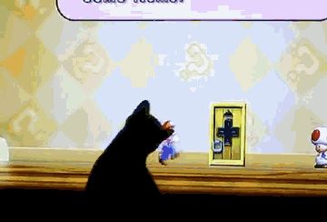 猫咪 游戏 黑毛 屏幕
