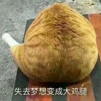 猫咪 爪子 毛发 失去梦想变成大鸡腿