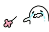 白人 花朵 眼泪 送你一朵花 送花