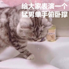 萌宠 喵星人 给大家表演一个 看我单手俯卧撑 调皮 可爱