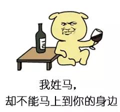 金管长 姓氏 暴漫 土味情话 马 撩