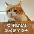 猫 傻子 年纪