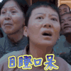 贱兮兮 目瞪口呆 白鹿原