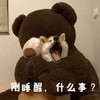 萌宠 汪星人 刚睡醒 什么事 搞怪 呆萌 逗
