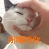 萌宠 猫星人 闭嘴吧你 搞怪 逗