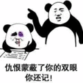 记仇 记什么仇