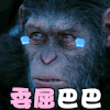 猩猩 神情 委屈巴巴 眼神