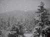雪 snow nature 倒春寒