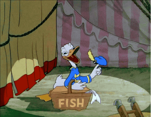 微笑 笑 酿造的 迪士尼 马戏团 鱼 唐纳德鸭 表达敬意 米奇的马戏团