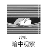 咸鱼 趁机暗中观察 百叶窗帘 可爱 搞笑