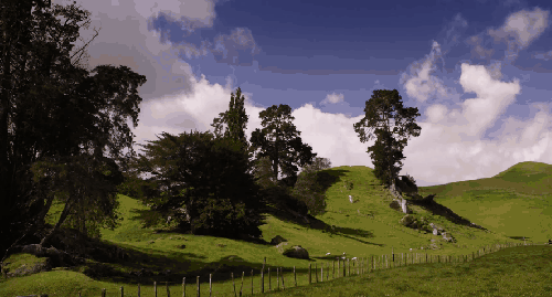 天空 山坡 新西兰 白云 纪录片 蓝天 风景