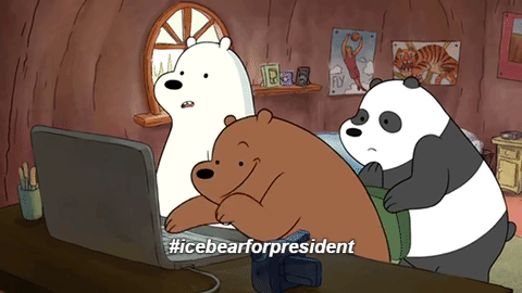 打电脑 观看 熊猫