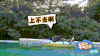 大树 搞笑 二货 水面