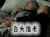 爱情 520 夫妻 白头偕老