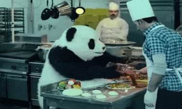 动物 大熊猫 国宝 搞笑 可爱