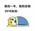 狗狗 计划 呆萌 新的一年新的征程