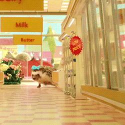 刺猬 公主 可爱 超市