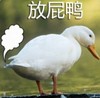 萌宠 鸭子 放屁鸭 嫌弃 呆萌 可爱