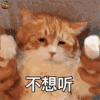 萌宠 猫咪 猫 拒绝 不想听 soogif soogif出品