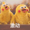 鹦鹉兄弟 激动 开心 兴奋