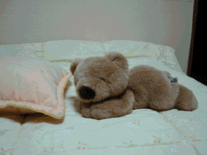 玩具 小熊 枕头 室内