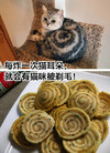 差点我就信了 搞笑 文字表情包 萌宠 逗