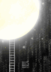 星空 闪耀 明亮