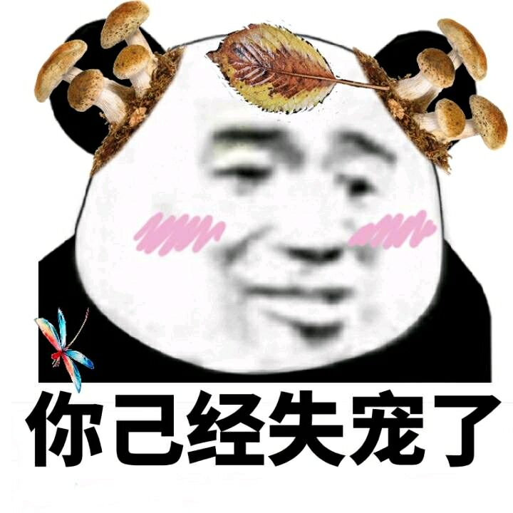 熊猫人蘑菇落叶你已经失宠了gif动图_动态图_表情包下载_soogif