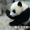 熊猫 爪子 黑毛 图还没找到