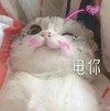 萌宠 猫星人 电你 开心 呆萌 可爱