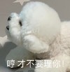 萌宠 汪星人 哼 才不要理你 嫌弃 呆萌 可爱