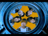 五月天 放大 阿信 男神