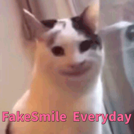 笑 假笑 猫