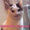 笑 假笑 猫 搞怪 逗